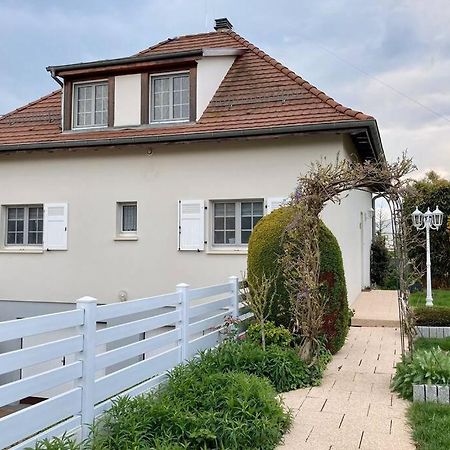 Le Papillon,Logement Cosy En Alsace Ерстайн Экстерьер фото